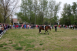 Hozd a formád! - Lovasbemutató 2011.04.15