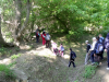 Cserkésztúra 2011.05.07