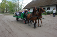 Osztálykirándulás 2. osztály 1. rész