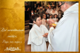 Elsőáldozás 2013