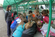 Gyereknap 2013