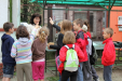 Gyereknap 2013