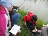 Horgászverseny 2013.06.01