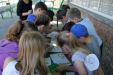 Gyereknap 2014.05.06