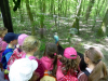 Osztálykirándulás 2015 1.b