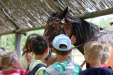 Ópusztaszer osztálykirándulás 3. osztály 2016.06.09 1. rész