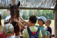 Ópusztaszer osztálykirándulás 3. osztály 2016.06.09 1. rész