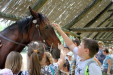 Ópusztaszer osztálykirándulás 3. osztály 2016.06.09 1. rész