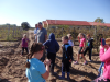 Szüret 1.b 2016. szeptember