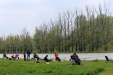 Horgászverseny 2017.04.08.