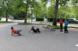 Gyereknap a Petőfi-szigeten 2021.05.25.