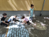 Májusi Manó műhely 2021.05.28.