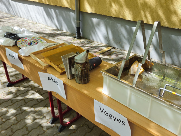 elmenynapkozi_1_2_evf_20250416_003