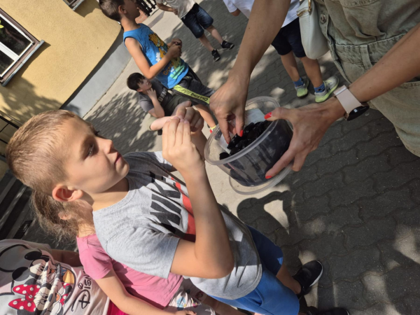 elmenynapkozi_1_2osztaly_20250612_006