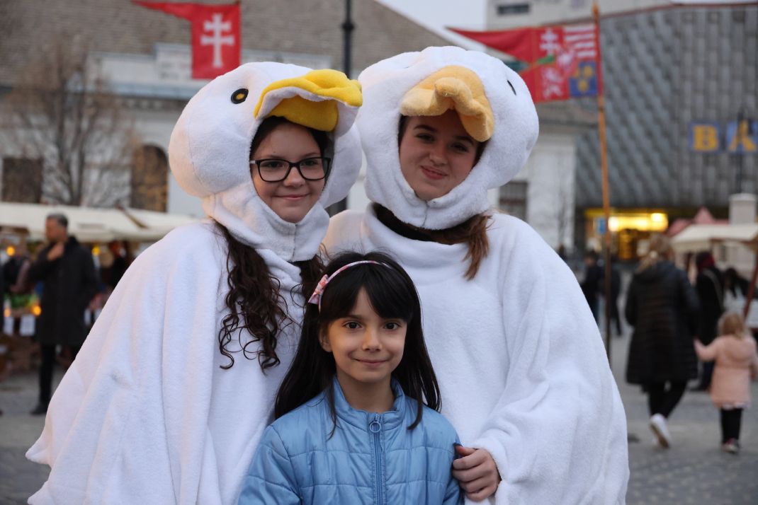 Marton_nap_20251107_005 Marton_nap_20251107_005