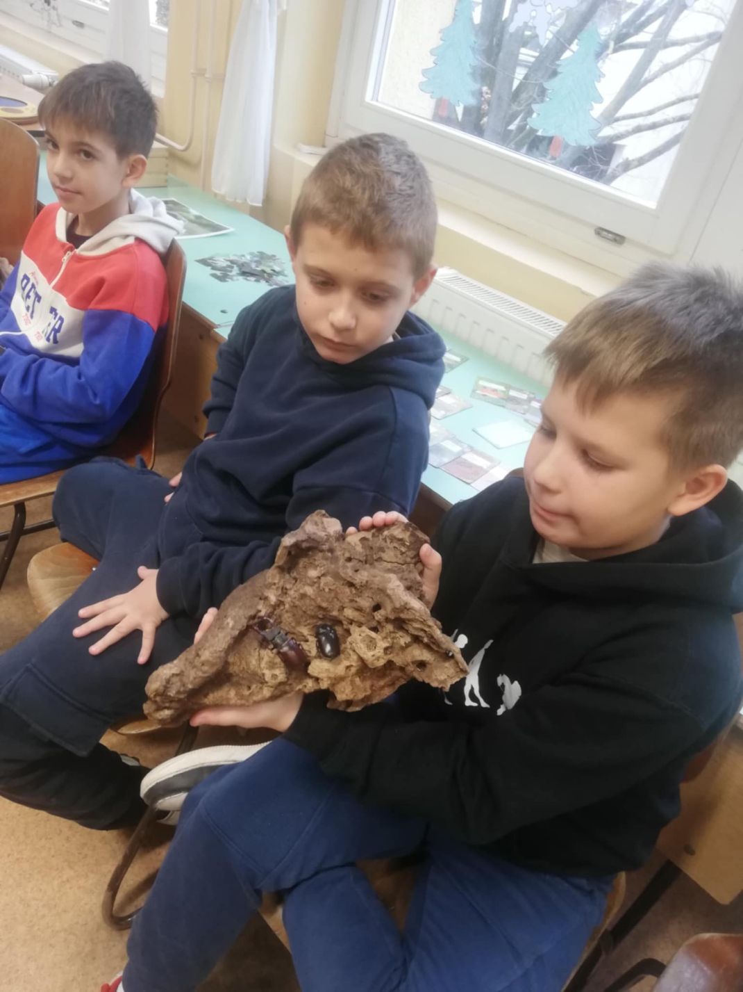 iskolaban_az_erdo_20251127_002