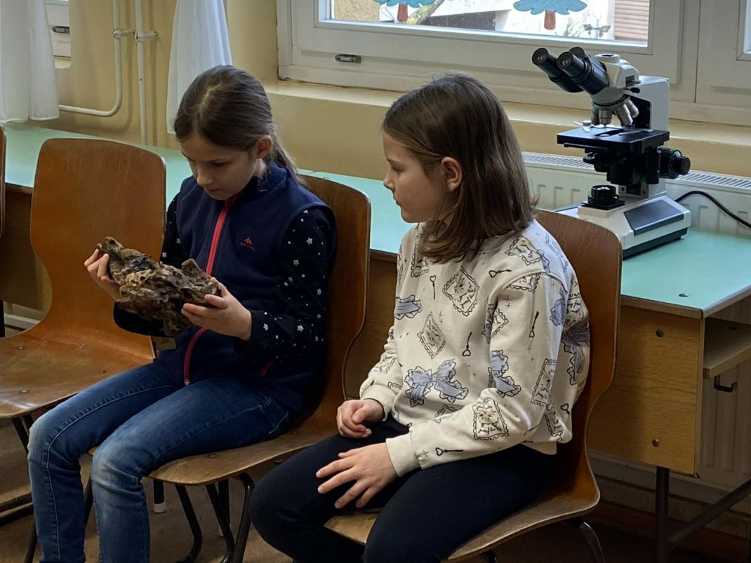 iskolaban_az_erdo_20251127_003