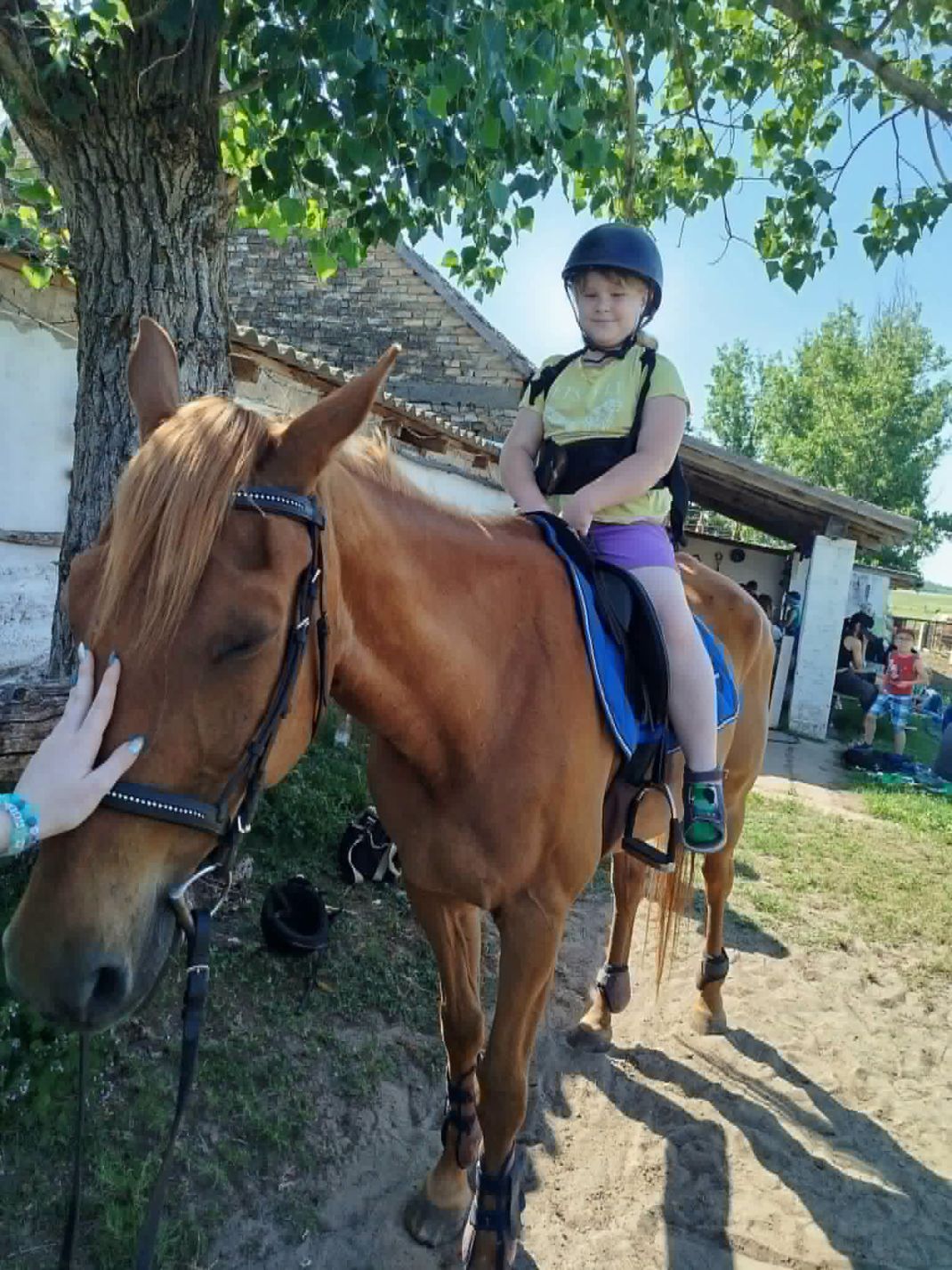 nyari_napkozis_tabor_20260622_002 nyari_napkozis_tabor_20260622_002
